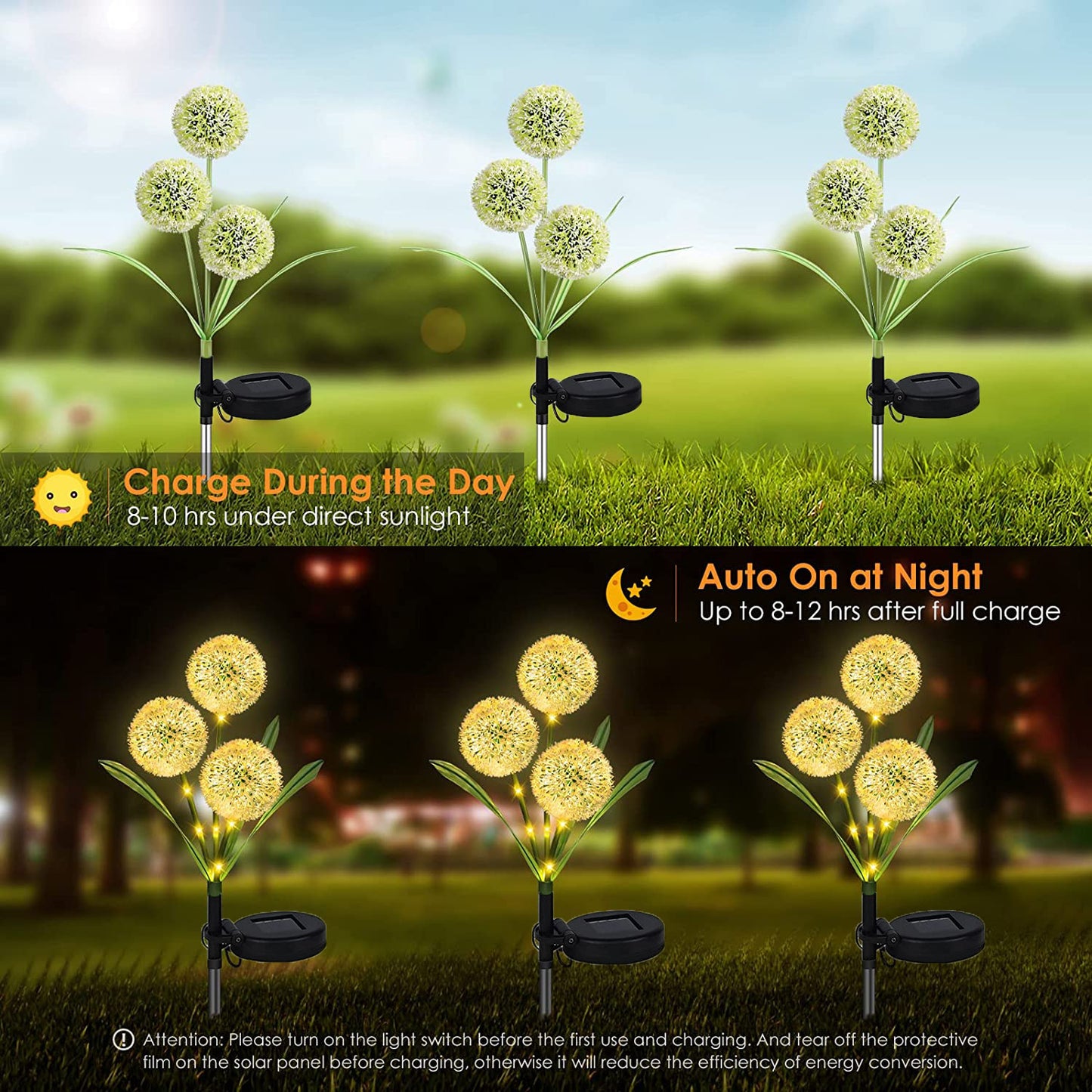 Lunara®️ Dandelion Solar Lantern